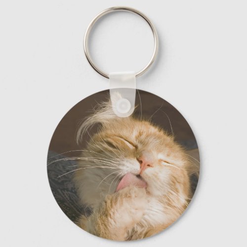  Beautiful Maine Coon Cat Close_Up Photo Keychain