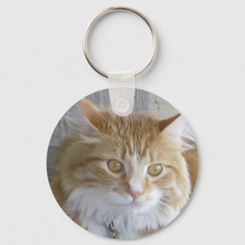 Beautiful Maine Coon Kitten Photograph Keychain