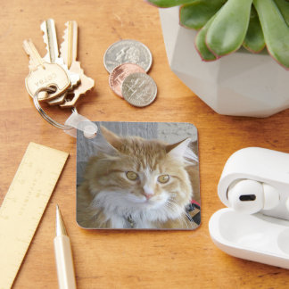 Beautiful Maine Coon Kitten Photograph Keychain