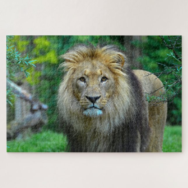 Beautiful Majestic Lion in Jungle Jigsaw Puzzle (Horizontal)