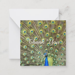 Beautiful majestic peacock Thank You Note Card