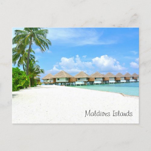 Beautiful Maldive Islands bungalows ocean palms Postcard