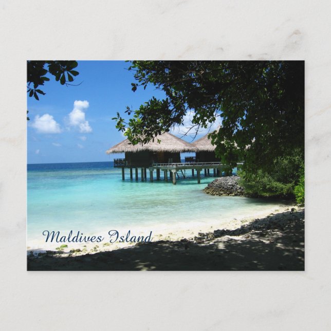 Beautiful Maldives Islands Postcard (Front)