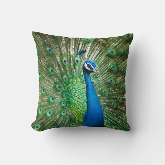 Beautiful Male Peacock Cushion (Front)