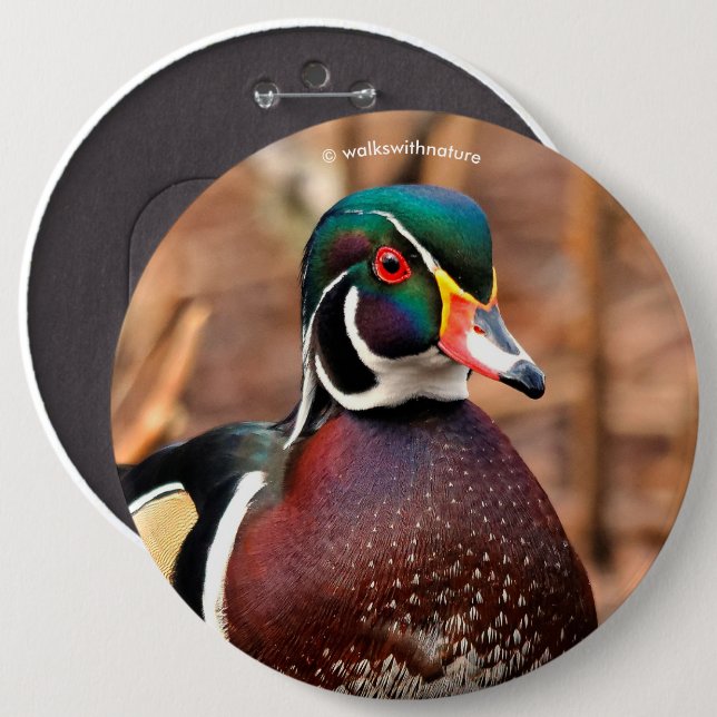 Beautiful Male Wood Duck in the Woods Button (Front & Back)