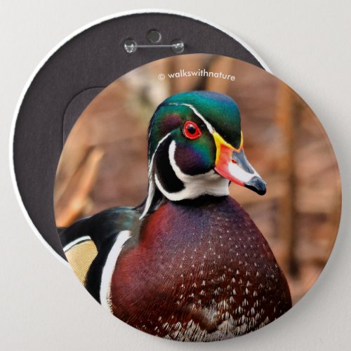 Beautiful Male Wood Duck in the Woods Button