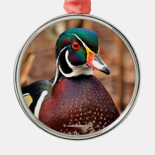 Beautiful Male Wood Duck in the Woods Metal Ornament