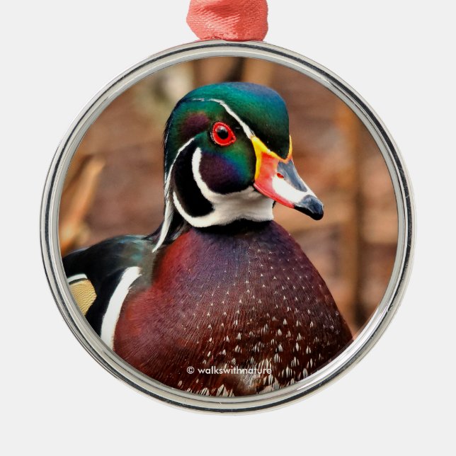 Beautiful Male Wood Duck in the Woods Metal Ornament (Front)