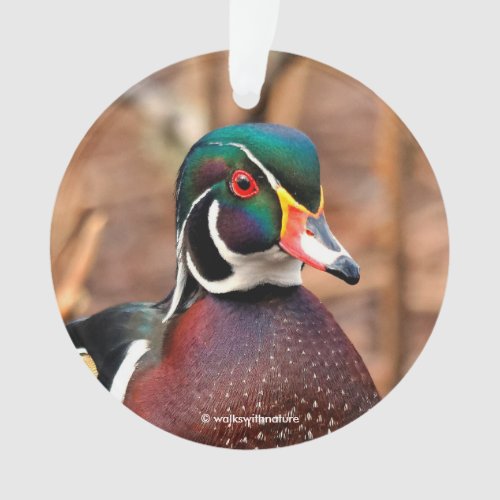 Beautiful Male Wood Duck in the Woods Ornament