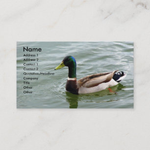 Beautiful Mallard Duck Business Card