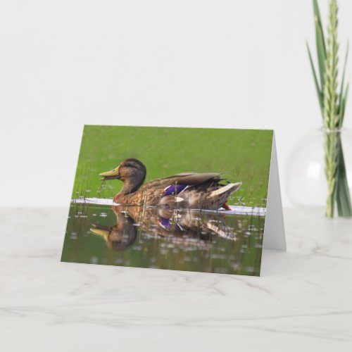 Beautiful Mallard Duck Fathers Day Card