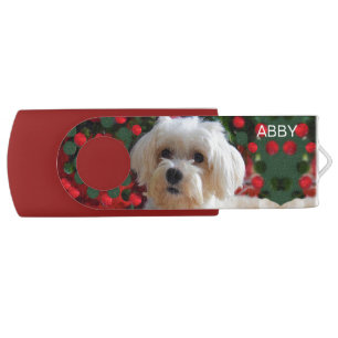 Beautiful Maltese Dog & Editable Name Flash Drive