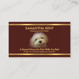 Beautiful Maltese Dog Red Gold Stripes Pet Sitter Business Card