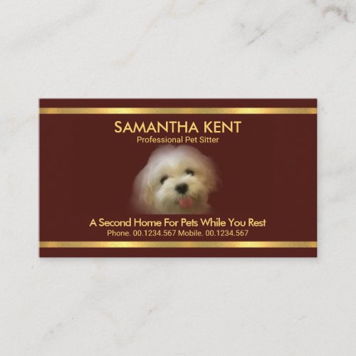 Beautiful Maltese Dog Red Gold Stripes Pet Sitter Business Card