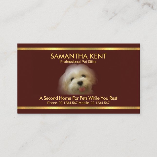 Beautiful Maltese Dog Red Gold Stripes Pet Sitter Business Card (Front)