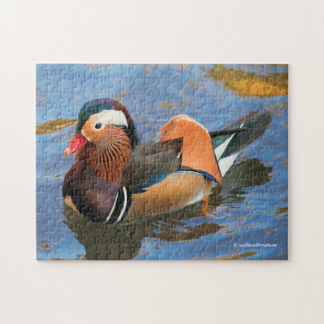 Beautiful Mandarin Duck in the Pond Jigsaw Puzzle (Horizontal)