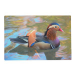 Beautiful Mandarin Duck in the Pond Placemat