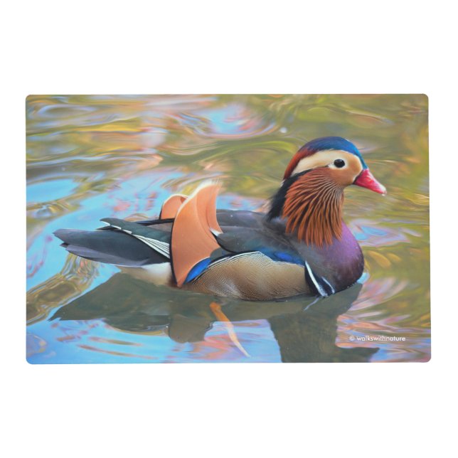 Beautiful Mandarin Duck in the Pond Placemat (Front)