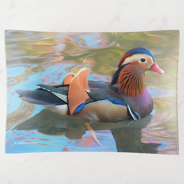 Beautiful Mandarin Duck in the Pond Trinket Tray (Front)