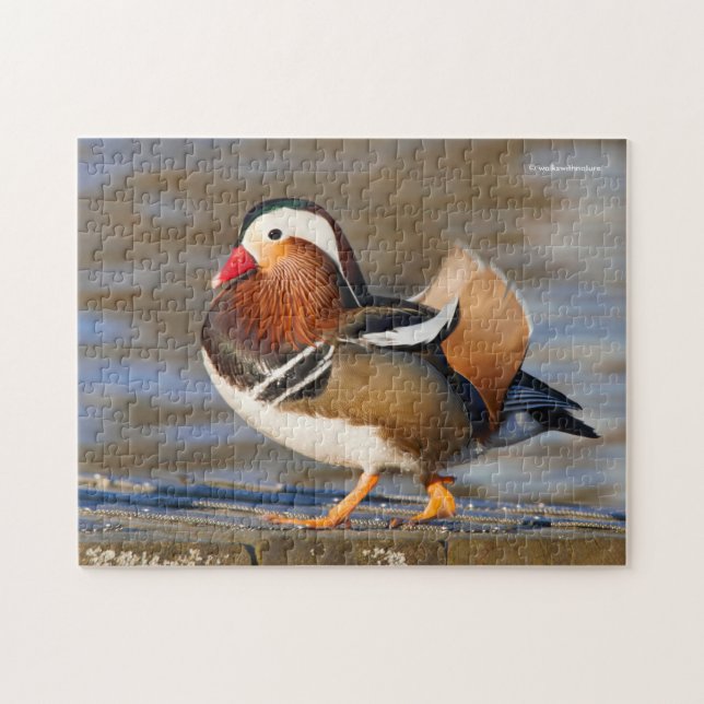 Beautiful Mandarin Duck on the Boardwalk Jigsaw Puzzle (Horizontal)