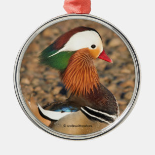 Beautiful Mandarin Duck on the Rocks Metal Ornament