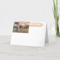 Beautiful Mares and Foals Horse Scene Mother's Day Card
