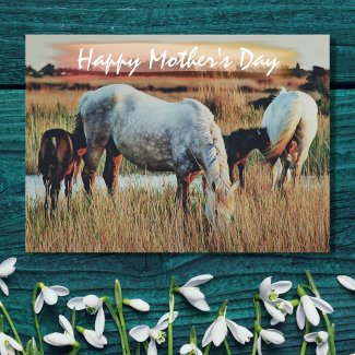 Beautiful Mares and Foals Horse Scene Mother's Day