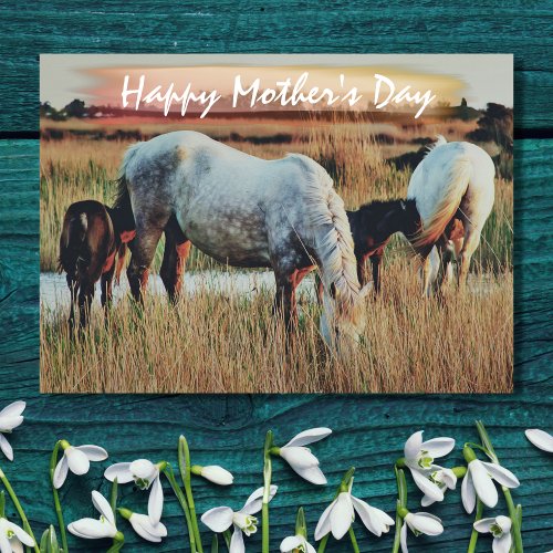 Beautiful Mares and Foals Horse Scene Mothers Day Card