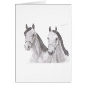 Beautiful Mares Horse Drawings (Front)