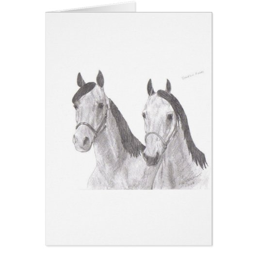 Beautiful Mares Horse Drawings (Front)