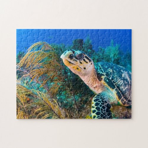 Beautiful Marine Life Sea Turtle  Jigsaw Puzzle