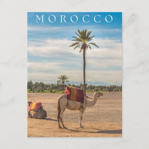 Beautiful Marrakech Camel Desert Adventure Postcard