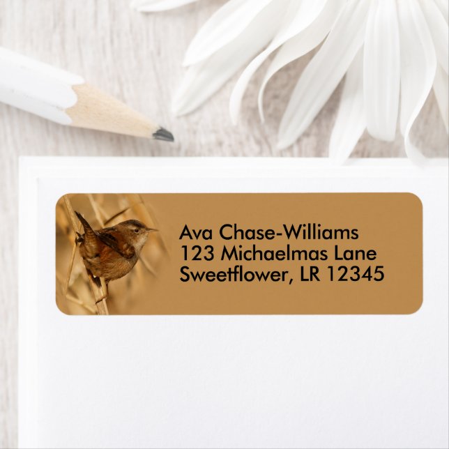 Beautiful Marsh Wren Songbird in Marsh Reeds Label (Insitu)