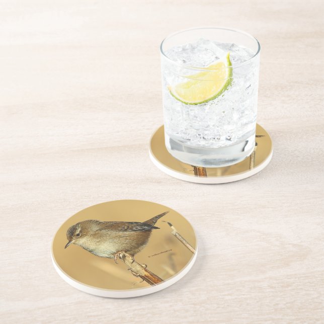 Beautiful Marsh Wren Songbird in the Marshes Coaster (Side)