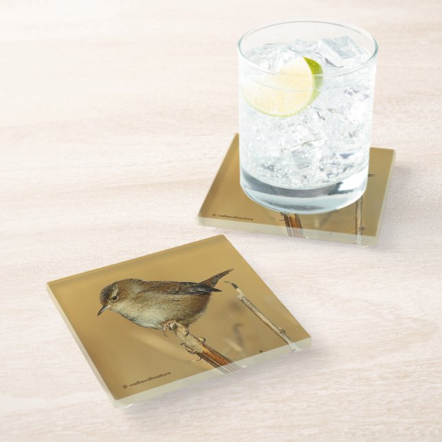 Beautiful Marsh Wren Songbird in the Marshes Glass Coaster (Angled)