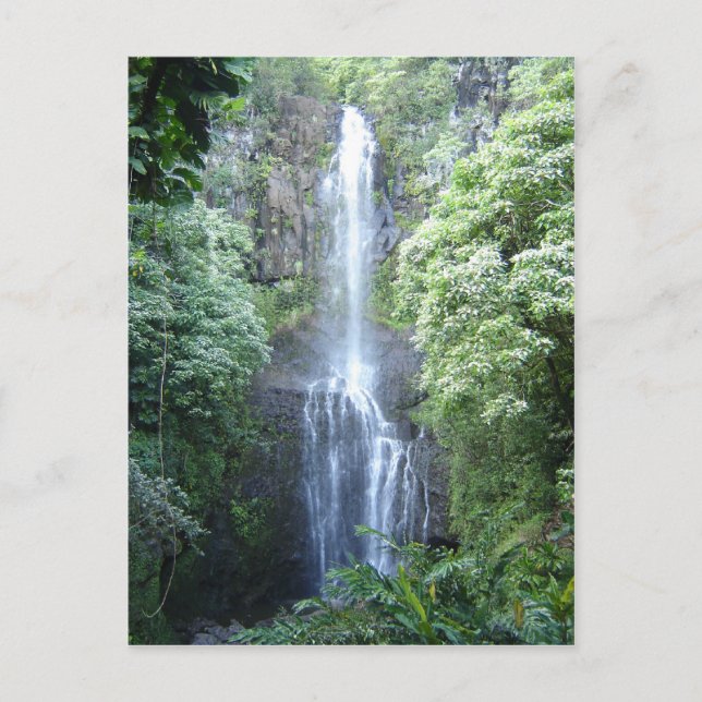 Beautiful Maui Waterfall Postcard (Front)