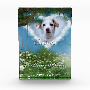 Beautiful Meadow Pet Photo Personalized Memorial Acrylic Award