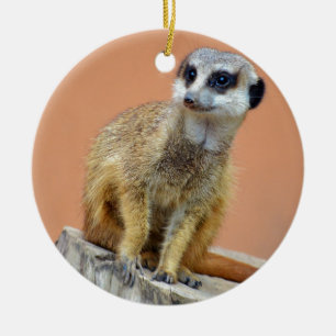 Beautiful meerkat ceramic ornament