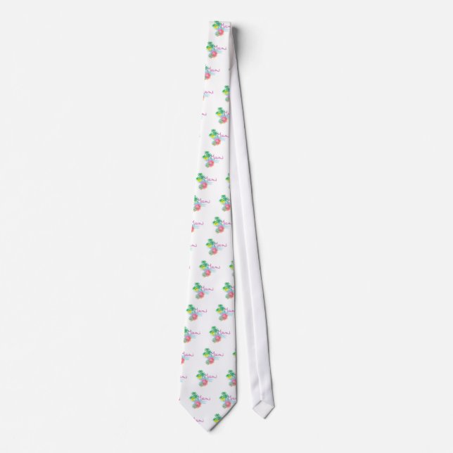 Beautiful Miami Florida Neck Tie (Front)