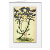 Beautiful Michaelmas Daisy by NELLIE BENSON (Front)