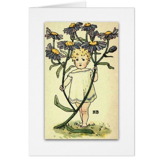 Beautiful Michaelmas Daisy by NELLIE BENSON Cards (Front)