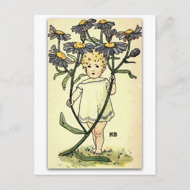 Beautiful Michaelmas Daisy by NELLIE BENSON Postcard (Front)