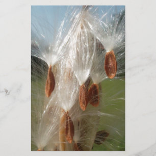 Beautiful Milkweed Magic: A Skyward Flight Design Stationery