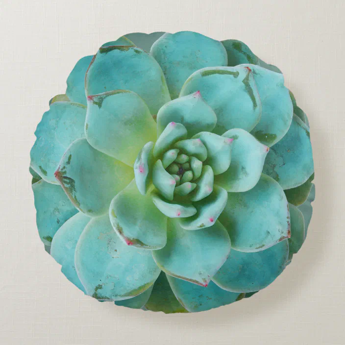 Beautiful Mint And Turquoise Succulent Plant Round Pillow Zazzle Com