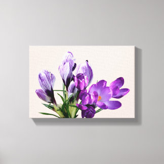 Beautiful moderm pretty purple crocus floral    ca canvas print