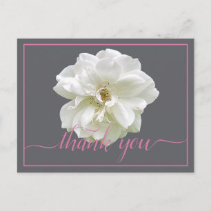 Beautiful Modern White Rose Botanical Thank You Postcard
