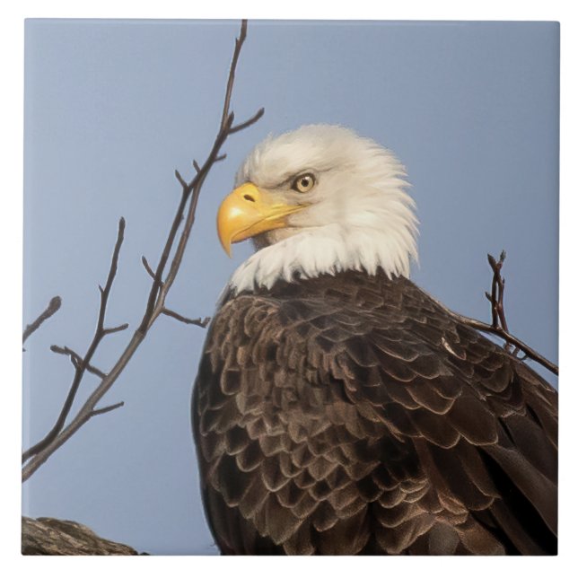 Beautiful Mom (Eagle) Ceramic Tile (Front)