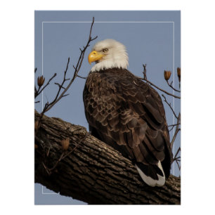 Beautiful Mom (Eagle) Poster