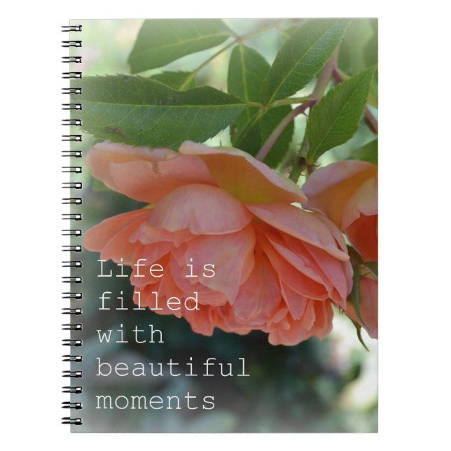 Beautiful Moments Roses Journal Notebook (Front)