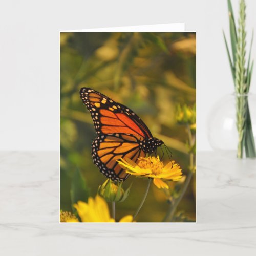 Beautiful Monarch Butterfly Blank Inside Note Card